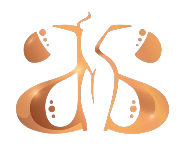 Akkary Cosmetic Surgery & Medspa Logo